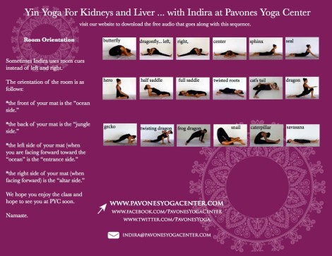 by Indira Kate and for Kidneys Kalmbach and yoga  liver at Yin kidney for Liver taught poses  Yoga